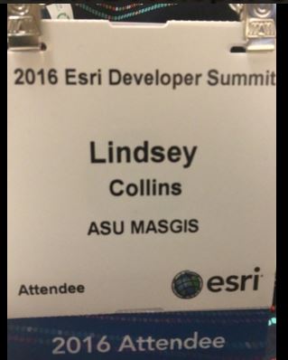 DevSummit_attendee