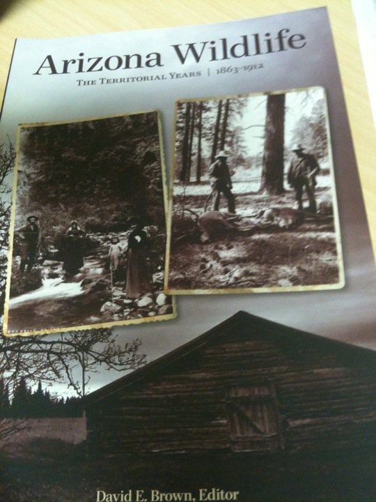 36081_1549021579351_5839244_n (1)