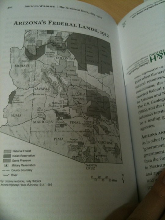 71574_1549021859358_7549317_n